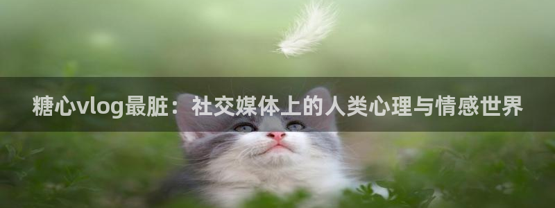 糖心vlog传媒免费：糖心vlog最脏：社交媒体上的人类心理与情感世界
