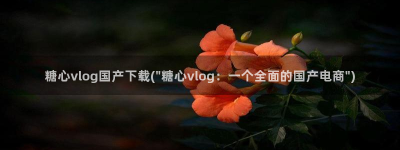 糖心vlog娜娜酱
