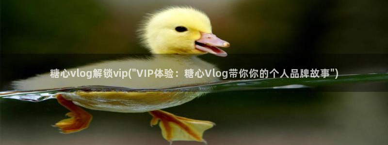 科普糖心vlog