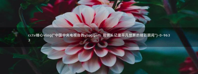 糖心vlog网站App