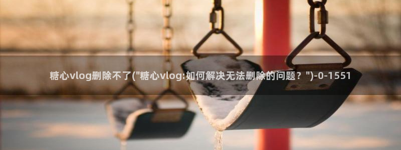 糖心vlog小飞