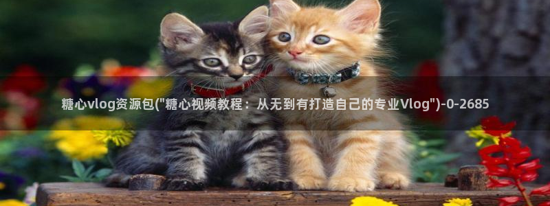 糖心vlog没有线路