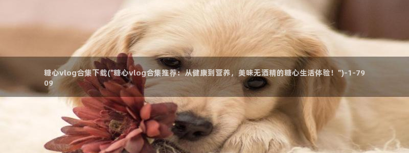 糖心vlog国产在线