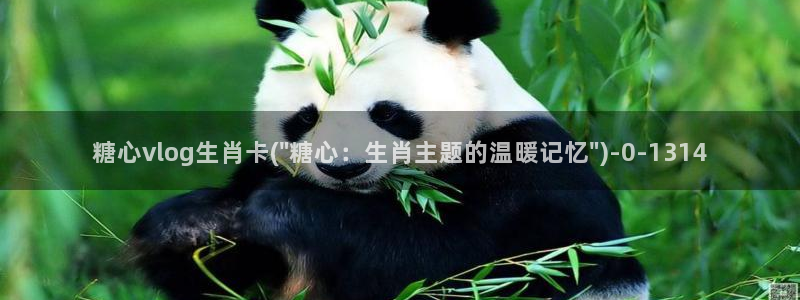 最新糖心vlog官网