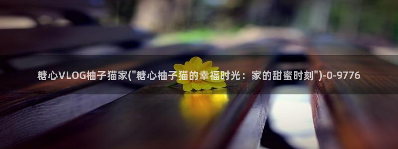 糖心vlog破解章节：糖心VLOG柚子猫家(\