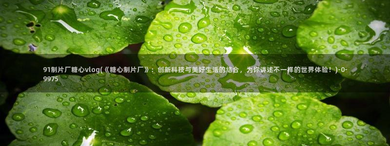 糖心vlog都有谁