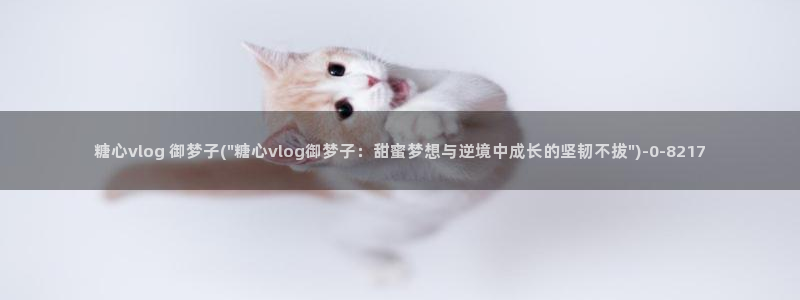 糖心vlog78