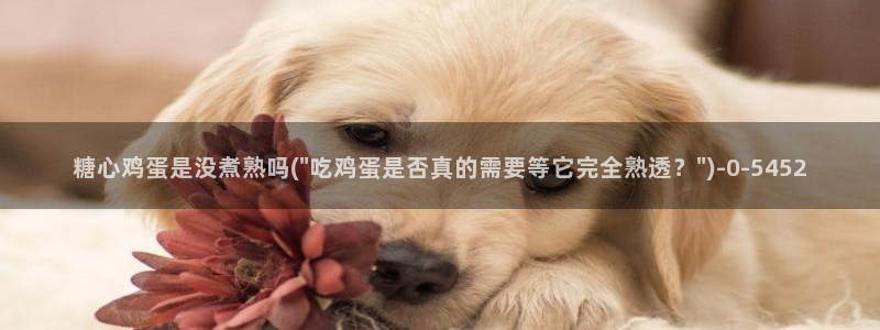 柚子猫糖心vlog完整版