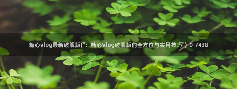 糖心vlog免费在线观看