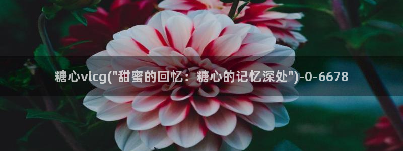 糖心视频vlog深夜释放自己下载