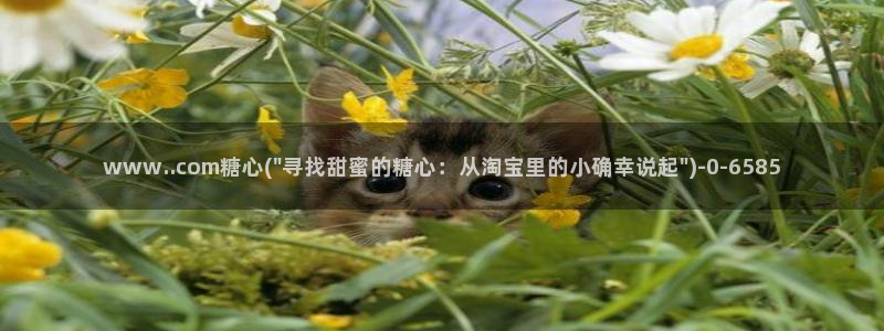 糖心vlog官下载