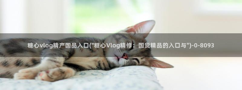 糖心小恩vlog