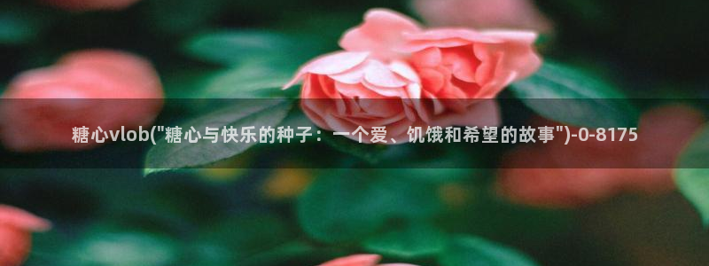糖心vlog作品