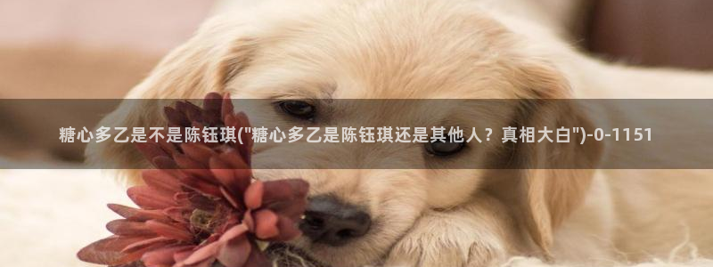 糖心vlog 免费观看完整版