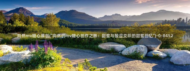 糖心vlog是什么意思